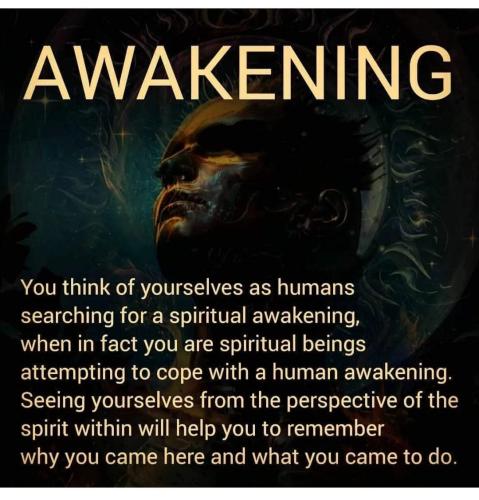 FB_IMG_1657764974048