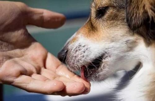 Screenshot_20220927-141459_Instagram