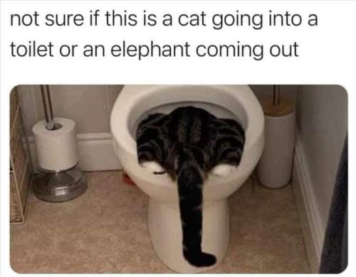 FB_IMG_1664294109735