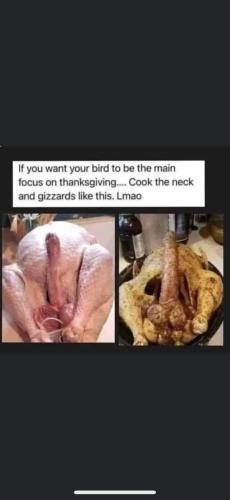 FB_IMG_1664476320763