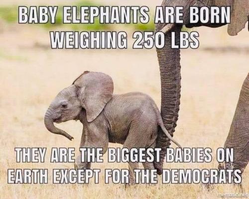 FB_IMG_1663267326247