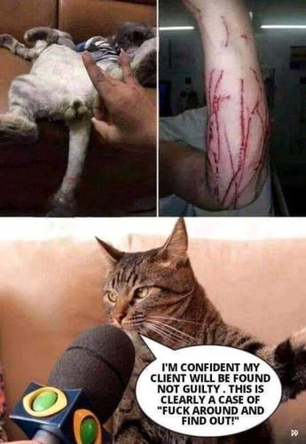 FB_IMG_1663257103352