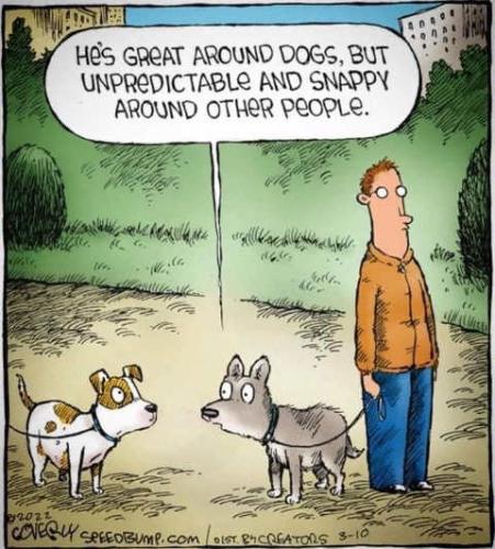 dogs-human-ok-around-dogs-snappy-people