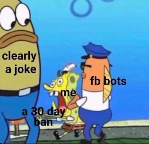 FB_IMG_1664357211027