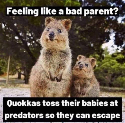 feeling like a bad parent