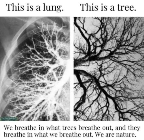 Screenshot_20220725-164427_Instagram