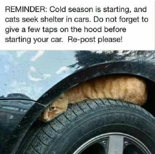 Screenshot_2022-09-13-09-42-39-071_com.facebook.katana