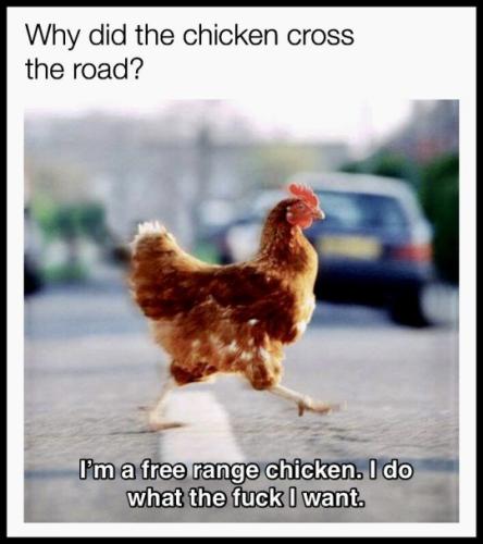 tumblr_fa179ff5e0496ee6588e23f0f6559b67_32763868_540