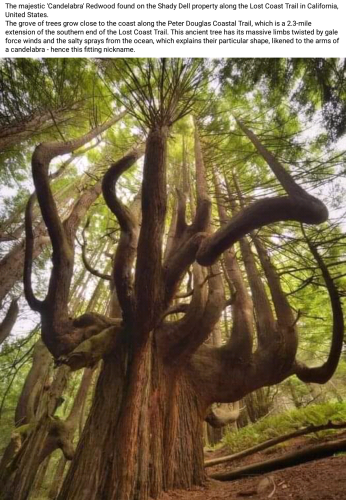 Screenshot_2022-09-01-13-36-01_kindlephoto-49070855