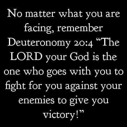 12d80dff-d840-42ec-bf66-3304a43af22d