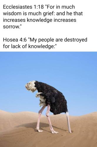 13:24:26 GMT-0400 (EDT)