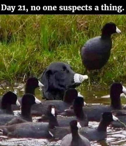 FB_IMG_1663165818234