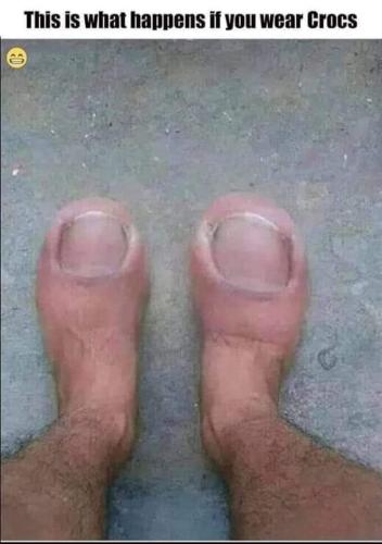 FB_IMG_1664041503991