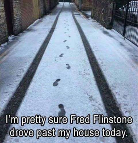 FB_IMG_1662564868628