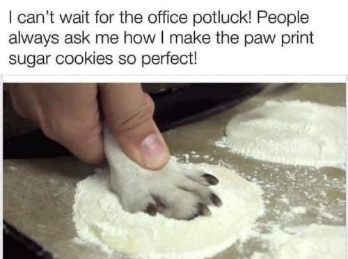 FB_IMG_1662990759082