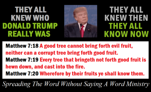 300611388_461811742323275_8421133170331334757_n