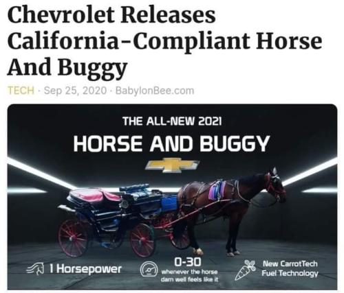 FB_IMG_1662289133615