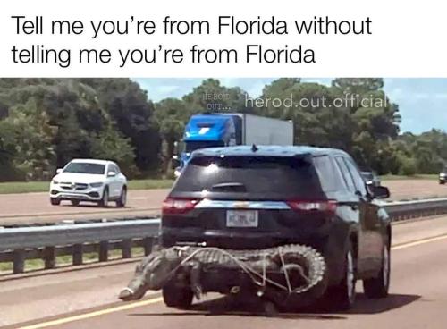 FB_IMG_1662612047709