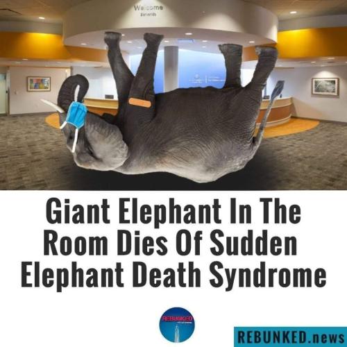 FB_IMG_1663682875521