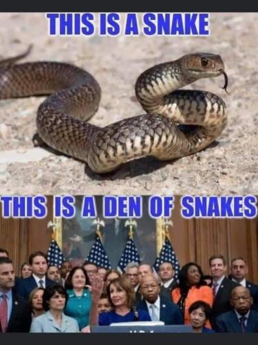 FB_IMG_1655418478780