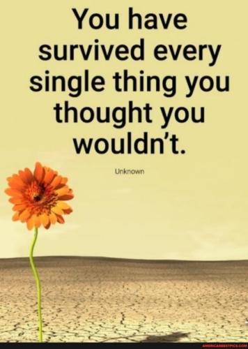 865b612a-cf0a-42f1-9f31-6501e7f1f29b