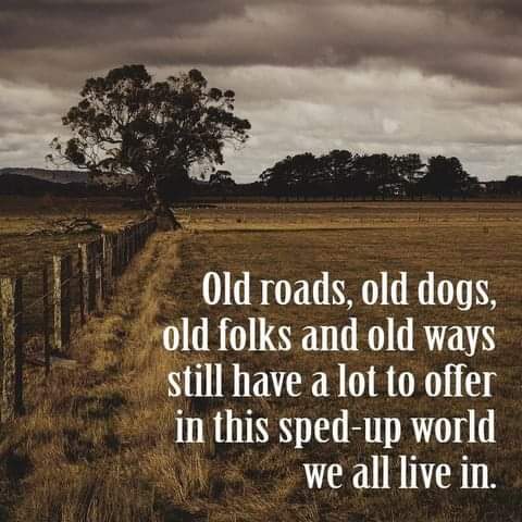 FB_IMG_1662770355494