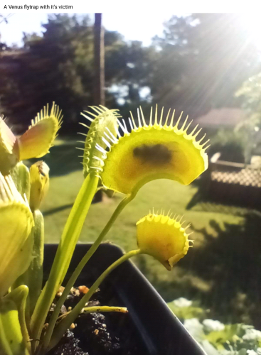 Screenshot_2022-09-01-13-37-30_kindlephoto-49036528