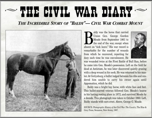 Screenshot_2022-06-23-17-43-23_kindlephoto-205071743