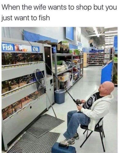 FB_IMG_1664562488674