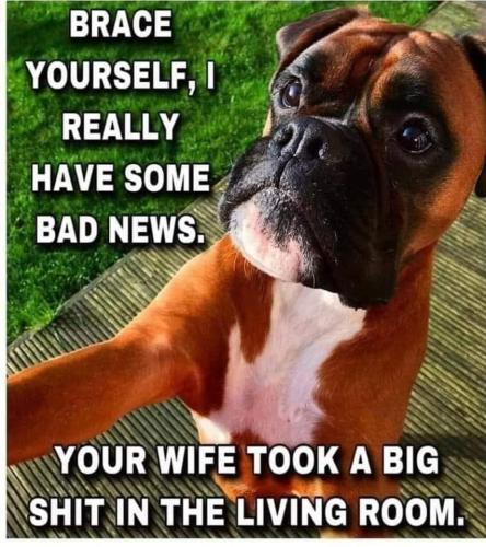 FB_IMG_1663915565019