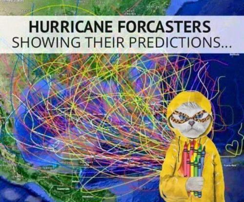 FB_IMG_1664426413819