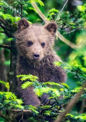 tumblr_ot1pidZv6o1rmxahho1_540