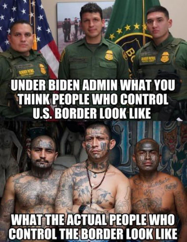 the wall238