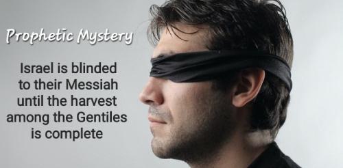 Screenshot_20220923_064719