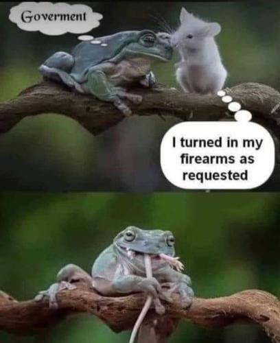 FB_IMG_1662145102079