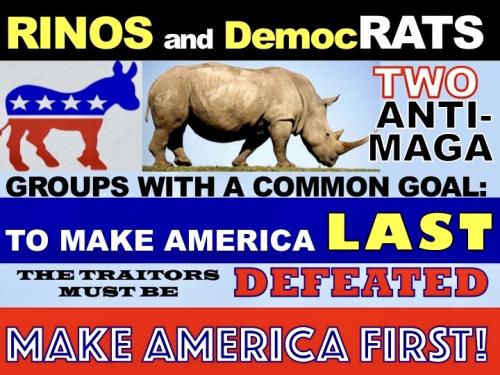 Anti Maga 1