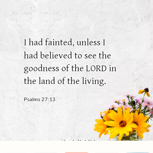 dailybible_20220928-234025_Psalms_27-13
