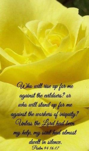 FB_IMG_1630353299399