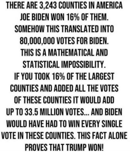 voterfraud347
