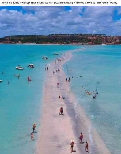 Screenshot_2022-09-01-13-13-01_kindlephoto-308540656