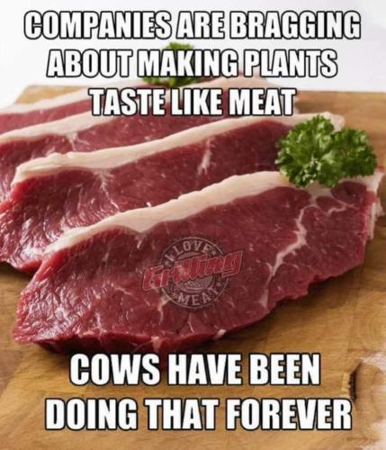 FB_IMG_1663643578165