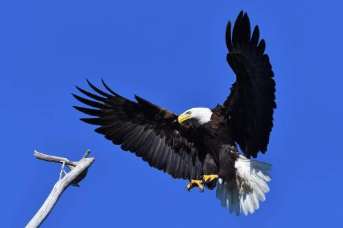 FB_IMG_1644729890971