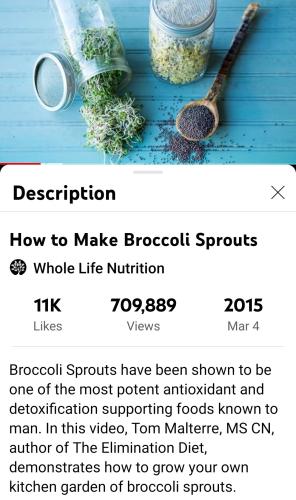 Screenshot_2022-09-13-19-19-18-057_com.google.android.youtube