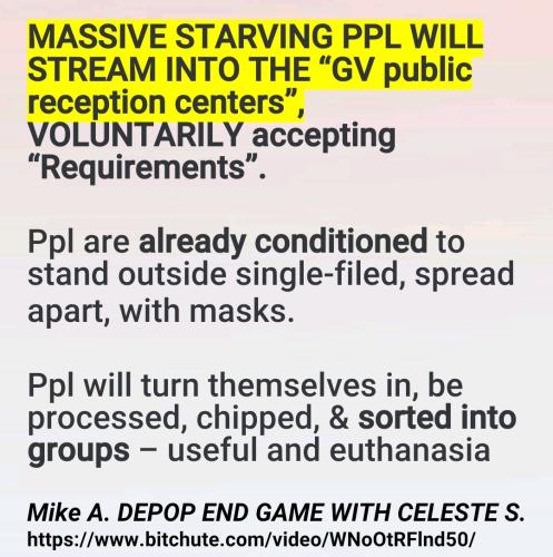 Screenshot_2022-09-01-12-42-57-872_cn.wps.moffice_eng