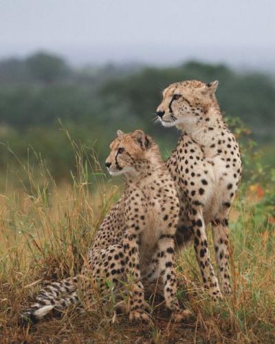 tumblr_01ba7a631acb65d5300d8842202bda09_c342a381_540