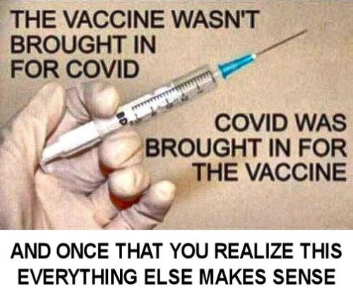 vaccine561