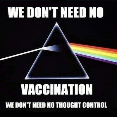 xephula_8a56ca0bf6a1e458162d391c35b05f9e