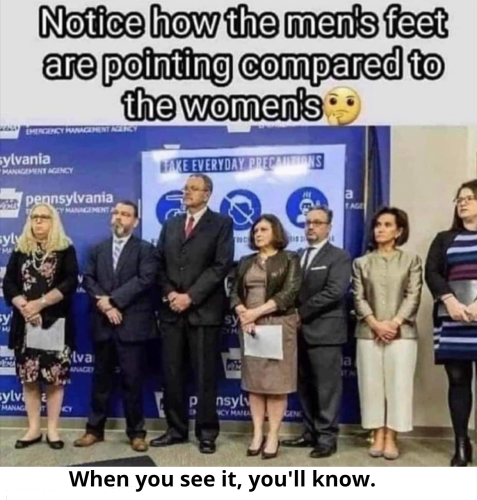 Screenshot_2022-09-01-23-20-29_kindlephoto-47607151