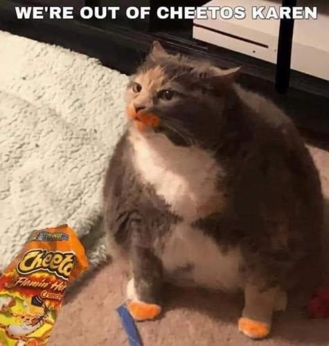 FB_IMG_1662734044834