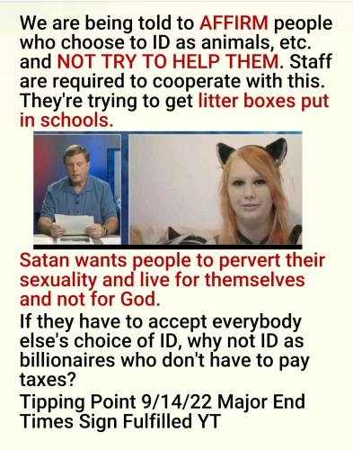 Screenshot_2022-09-15-13-18-58-312_cn.wps.moffice_eng